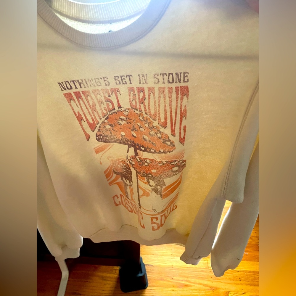 Barely worn hollister xs crewneck